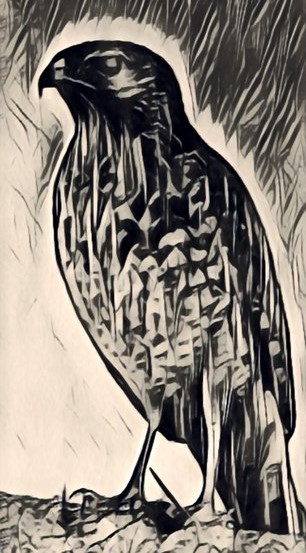 Kucuradiz's tweet photo. 🎉 @_EBirds Giveaway 🎉
Worth 0.099 eth (200$💰)

How to Join:
 Follow @_EBirds ✅
 RT and tag your 2 frens ✅

⌛Ends in 48 hours⌛ 
#NFTgiveaway #NFTcommunity  #NFTs #nftcollector https://t.co/ywPl0A4sHX