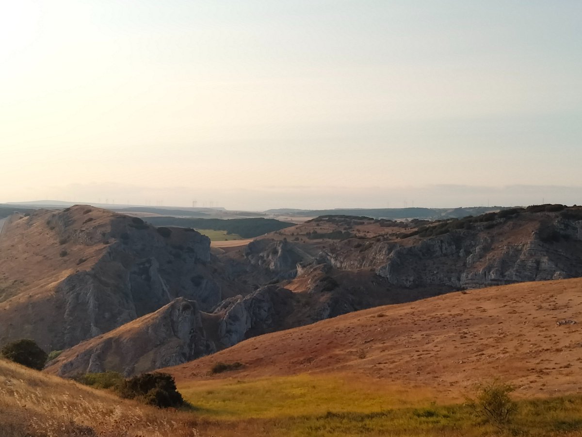 Centro Arqueológico de Ubierna tweet media