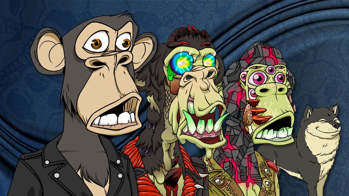 Adam Hollander tweet media