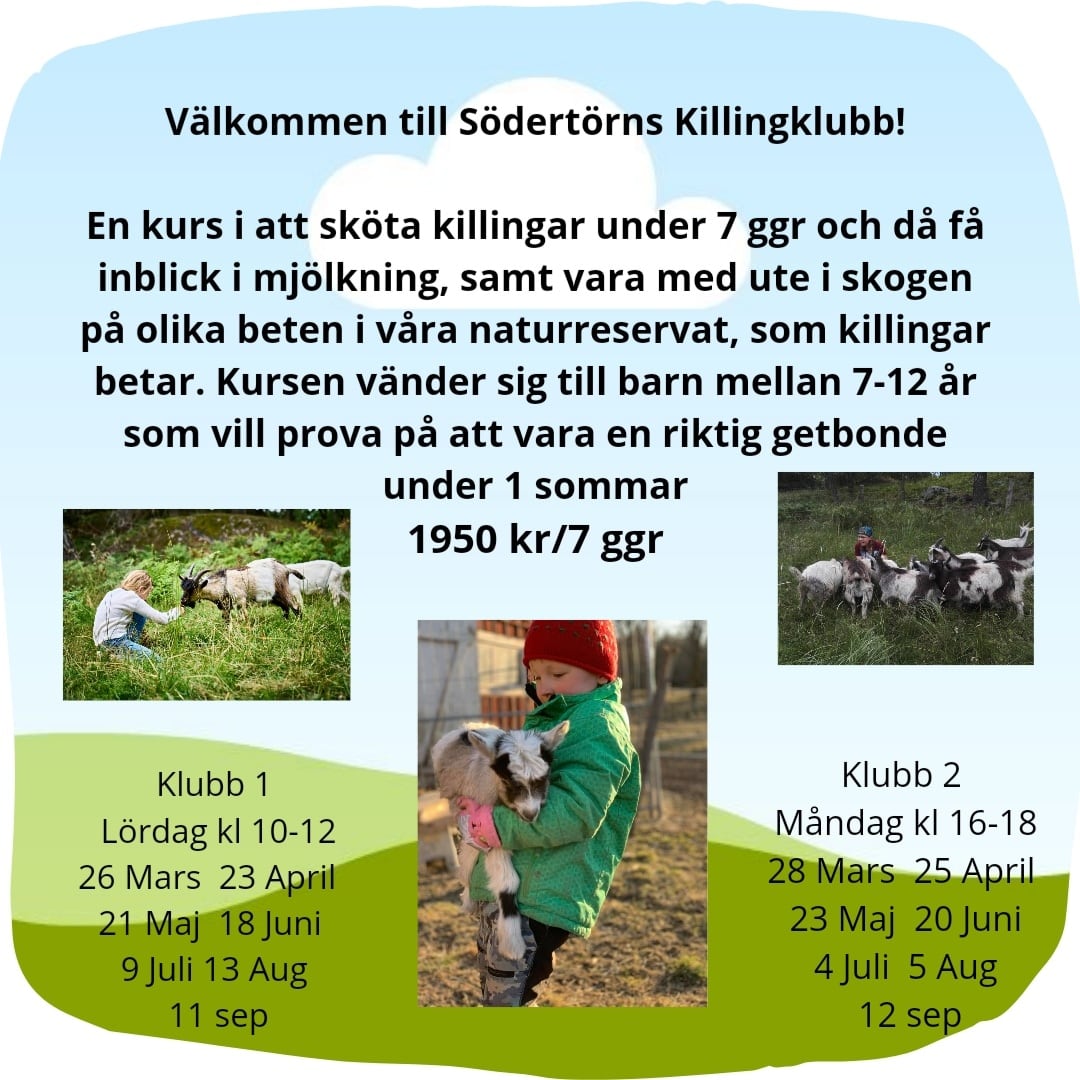 Vuxenklubben är redan nästa full och även barnklubbarna fyller på ganska fort. Ge barnen en kurs i biologisk mångfald med garanterat megamys av hundratals killingar.