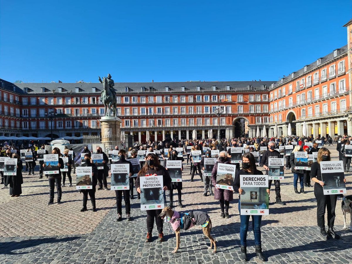 CAS International tweet media