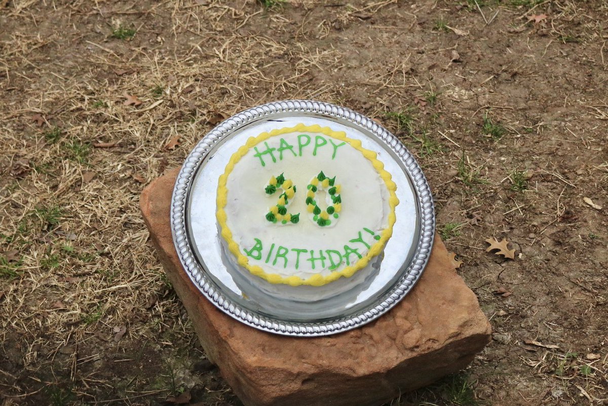 bubearhabitat's tweet photo. I turn 20 today! This Lady is saying bye to the teens 🎉 and extra grateful for my good health this bday. See you on Saturday for our party! https://t.co/hownfq6k5h