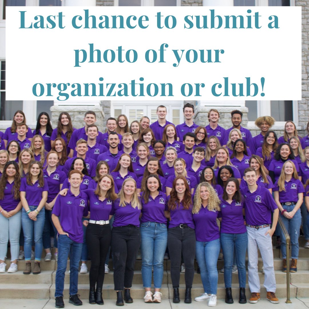 The Bluestone tweet media