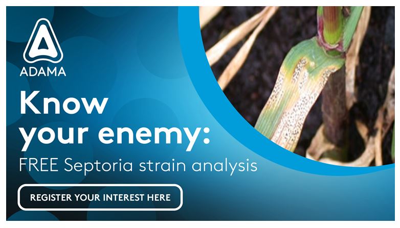 📣 FREE leaf analysis - to help growers formulate fungicide programmes, we’re offering a limited number of tests to determine what level of SDHI resistance there is in over-wintered #wheat crops.
  🤔 Find out how 👉 hubs.la/Q0139dNv0