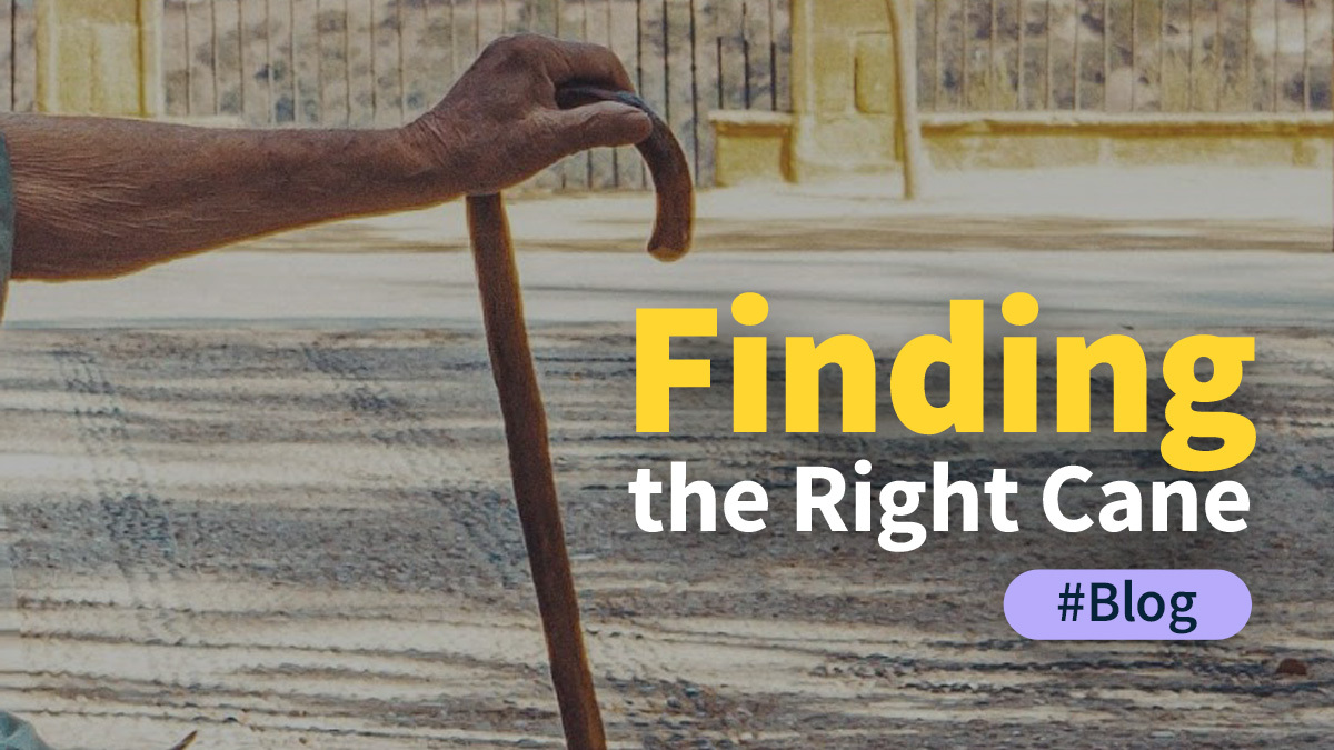 assistlistca's tweet photo. Are you or someone you know interested in finding the right cane? Check out our January blog post to read about 4 common kinds of canes and 3 factors to consider before choosing a cane!
https://t.co/Palrxfmrqo https://t.co/WCpZxYarIk