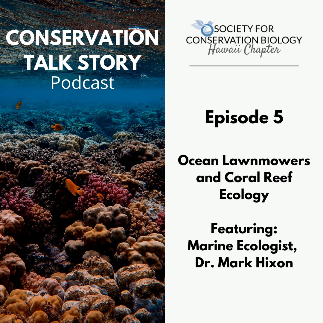 SCB-Hawai'i Chapter tweet media