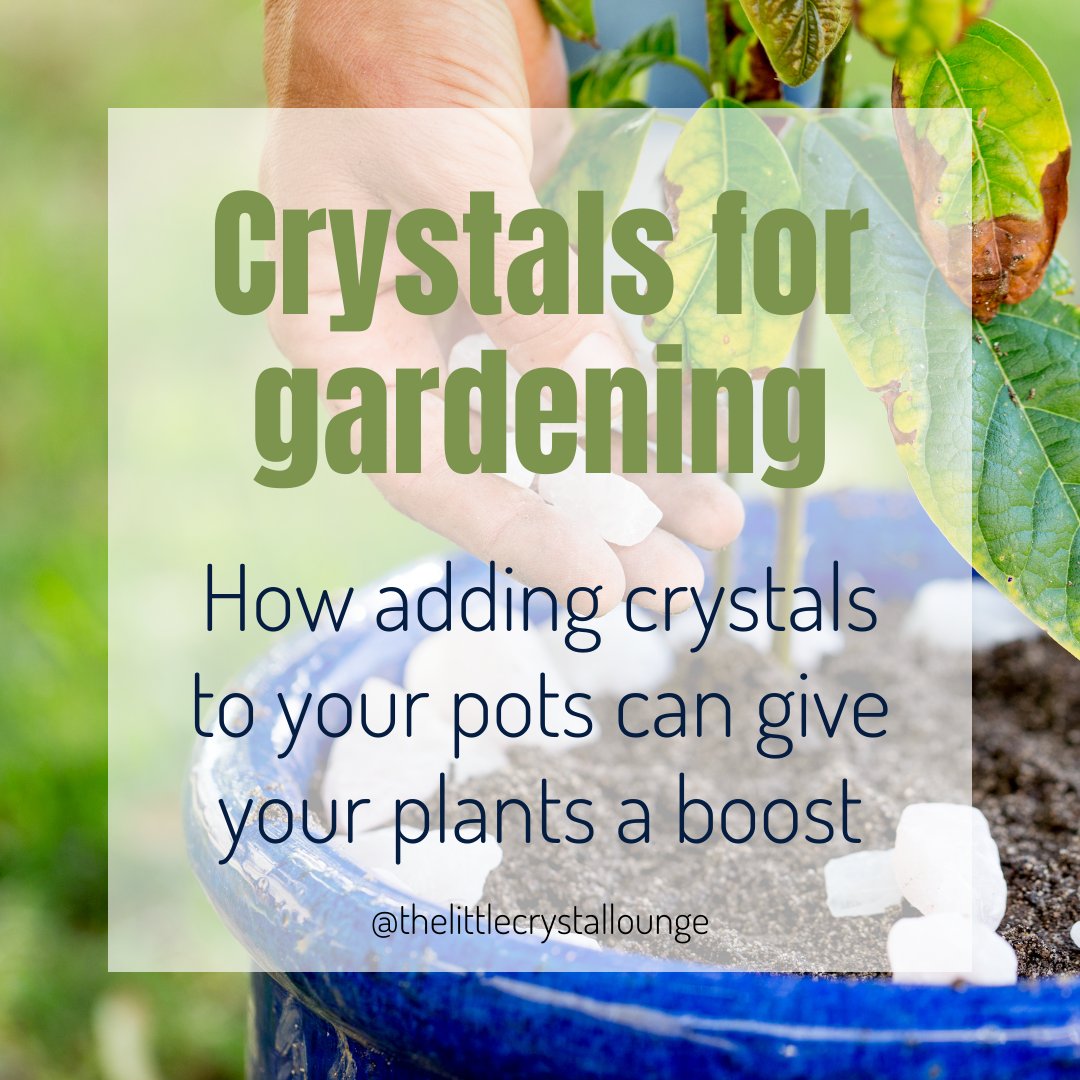 KateTLCL's tweet image. Crystals and gardening are such a marvelous mix! 
Read my blog to find out what crystals you can add to your plants to boost your green fingers and raise your plants vibe! 
thelittlecrystallounge.co.uk/2021/04/crysta…
#raiseyourvibe #gardening #crystals #crystalhealing #crystaltips #crystalblog