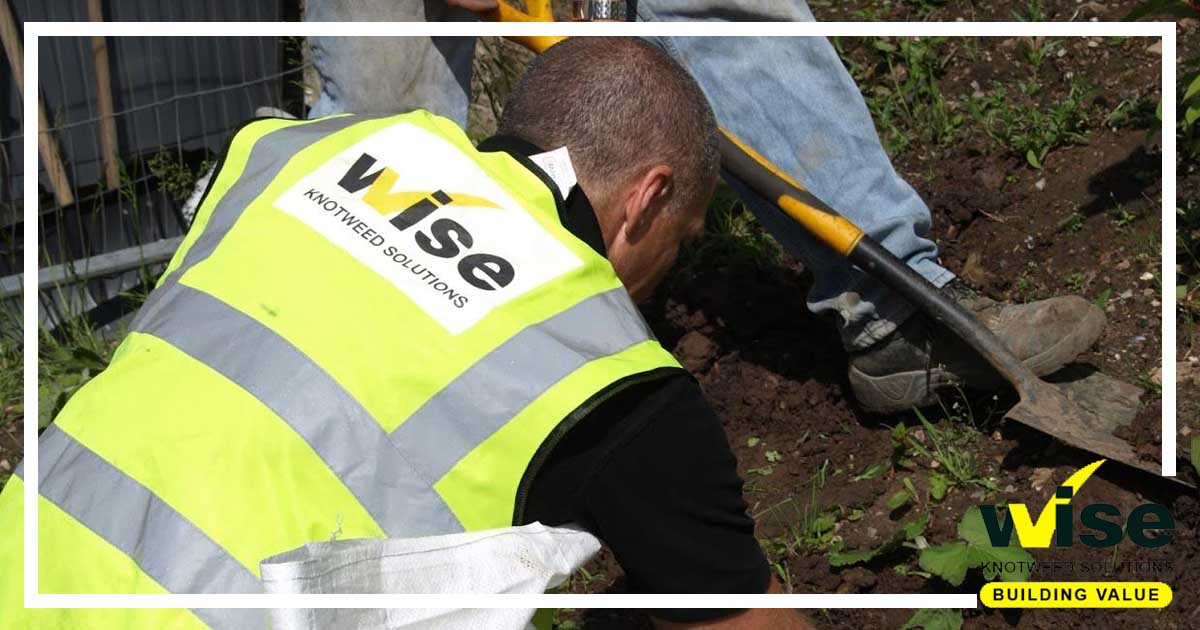 At Wise Knotweed Solutions, we are the leaders in the Japanese Knotweed survey &amp; treatment industry. Our specialist team are fully trained, qualified and experienced experts.