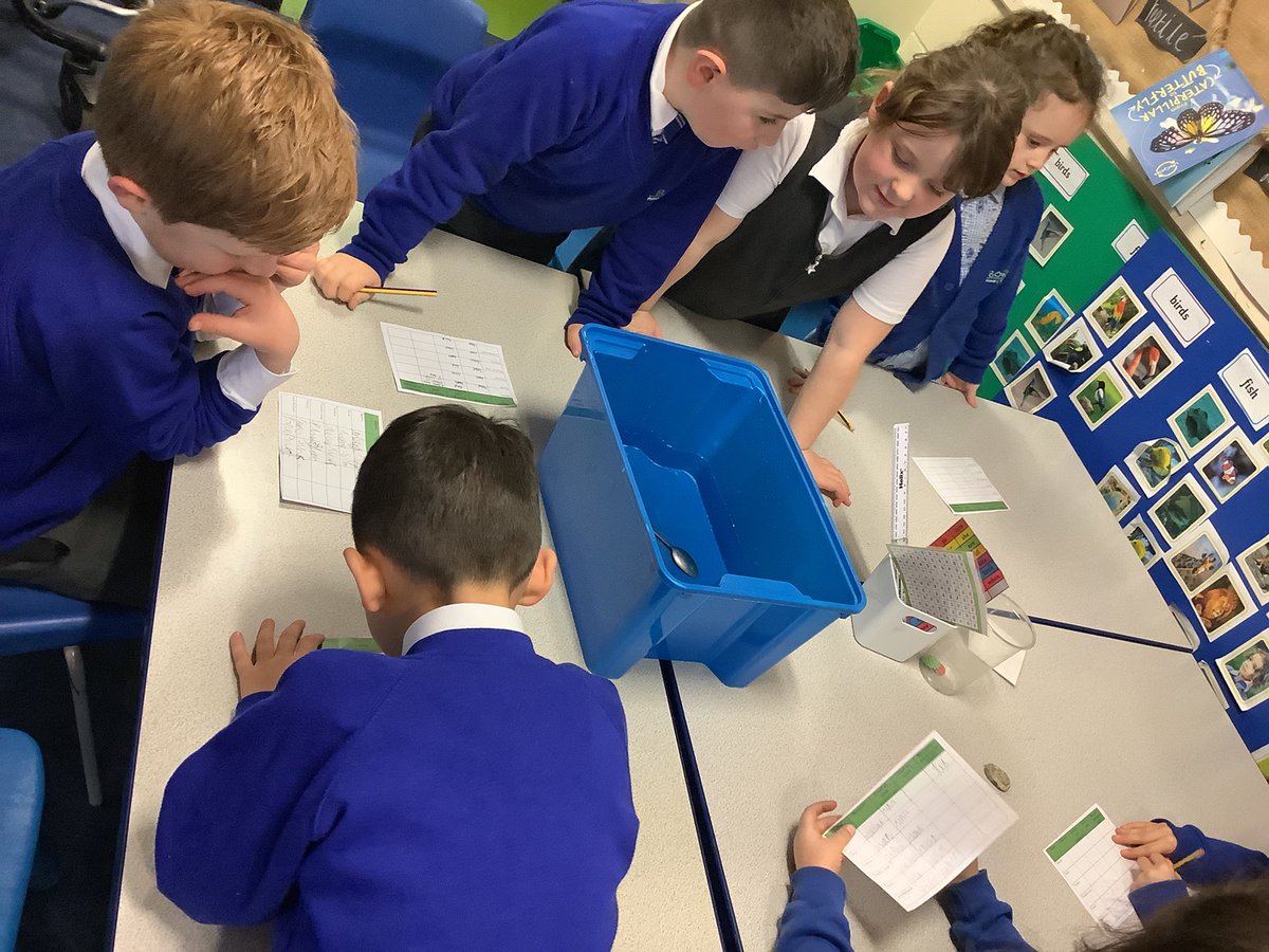 MissSmith43's tweet photo. Sink or float? Let's find out... #stem #science #ks1 @Bowness_Primary https://t.co/mhVgljJ4ZP