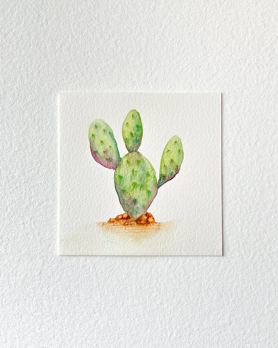 gabrieladassio's tweet photo. Estudo de Cacto Palma para tattoo
Aquarela + lápis de cor 🎨✏️
Nanquim + grafite 🖤🖊 https://t.co/oze4loCGjr