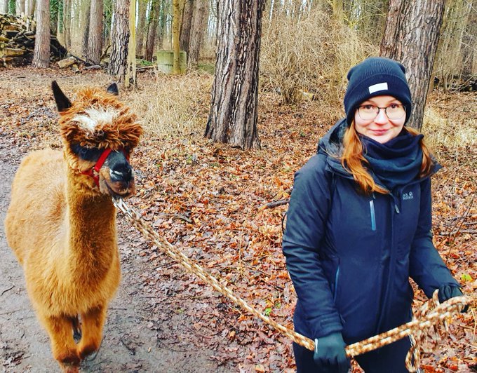 Monday? No Problama! 😁🦙🥰  #alpaka #lama #huarizo #alpakawanderung #alpakalove #outdoor #wandern #brandenburg<a href="/tag/alpaka"class="tags">#alpaka</a><a href="/tag/lama"class="tags">#lama</a><a href="/tag/huarizo"class="tags">#huarizo</a><a href="/tag/love"class="tags"><span>#love</span></a><a href="/tag/outdoor"class="tags"><span>#outdoor</span></a><a href="/tag/brandenburg"class="tags"><span>#brandenburg</span></a><a href="/tag/wandern"class="tags"><span>#wandern</span></a><a href="/tag/happygurl"class="tags"><span>#happygurl</span></a>
