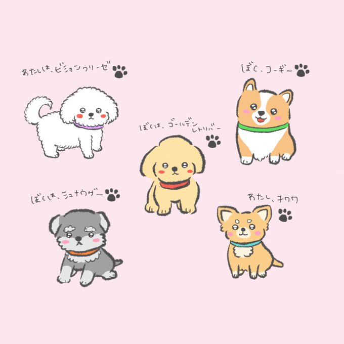 コーギー 高画質 のtwitterイラスト検索結果 古い順 コーギー 高画質 のtwitterイラスト検索結果 古い順