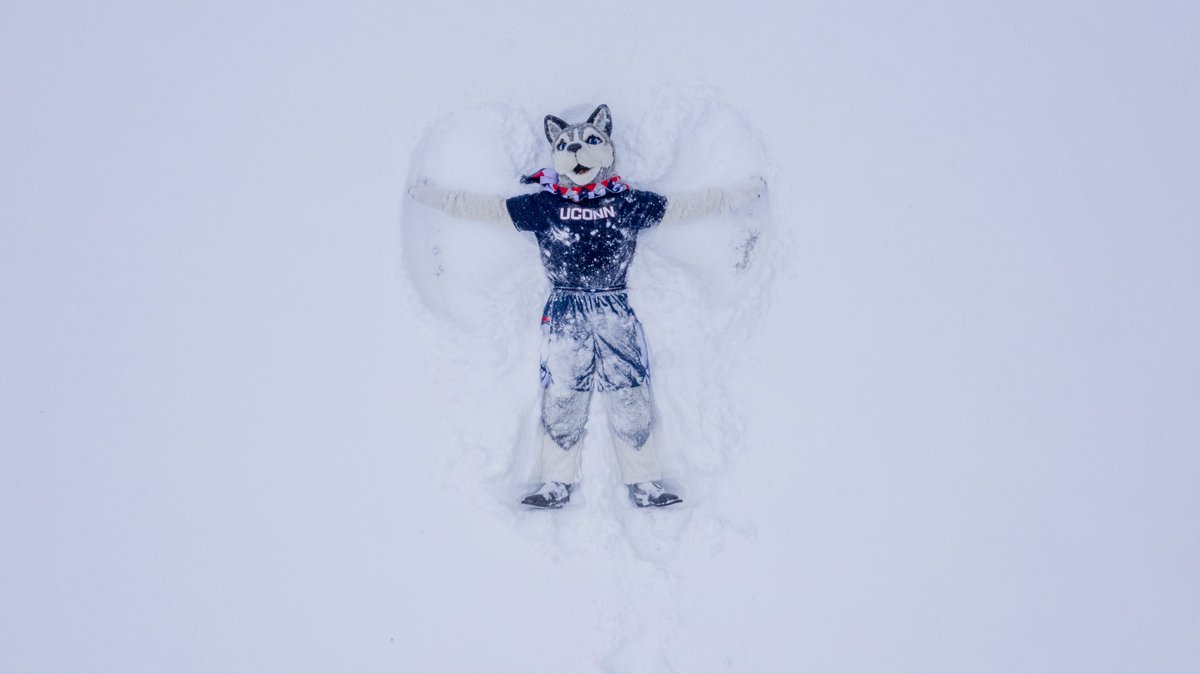 UConnBursar's tweet photo. Happy Day 10 of classes Huskies! 🎉

REMINDER: today is the last day to enroll in the payment plan and graduate payroll deductions, get a refund for dropping to part-time status, and to pay before holds are placed on your Student Administration account. https://t.co/fE6g0SFETl
