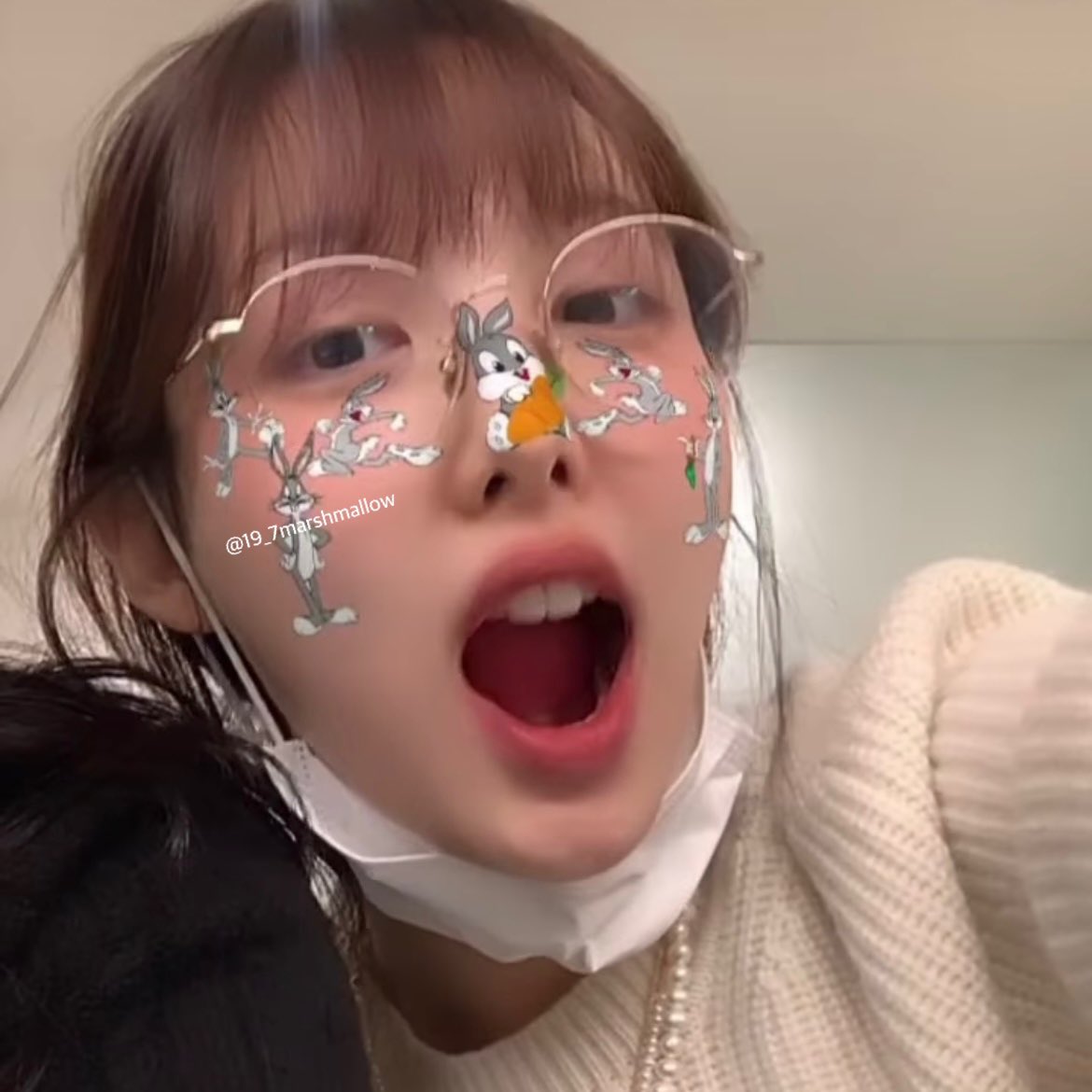 19_7marshmallow's tweet photo. 受験までログアウトします🕊
来年必ず戻ります！！ https://t.co/1oGD0iZshN