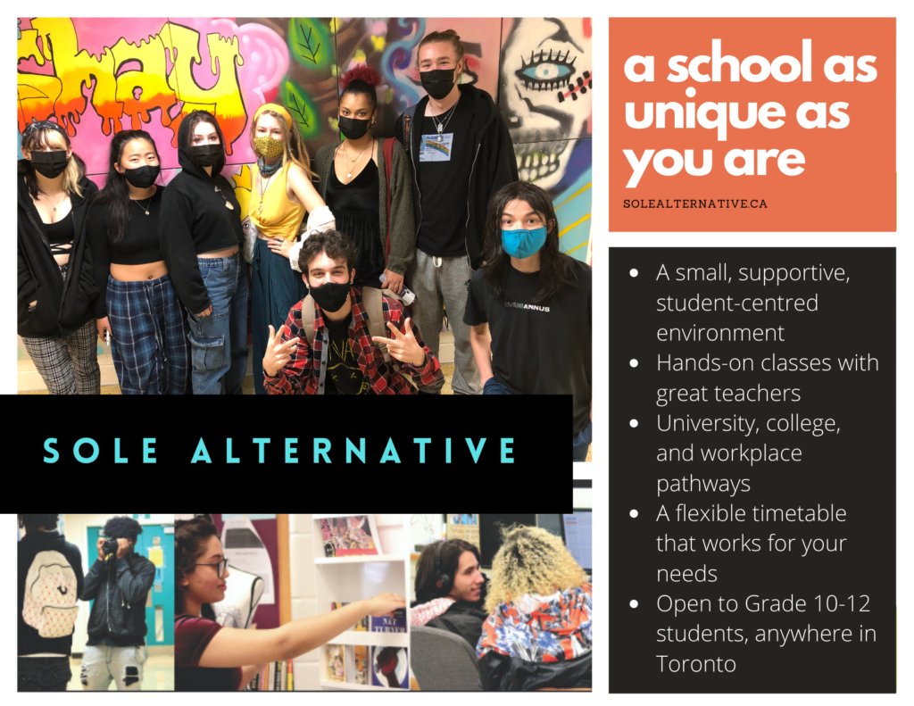 Looking for something different? SOLE is taking new students for sem 2. We offer a friendly, flexible, student-centred environment with exciting courses and caring teachers. 16-21 with all of your Grade 9 credits and most of your Grade 10 credits? Join our welcoming community.