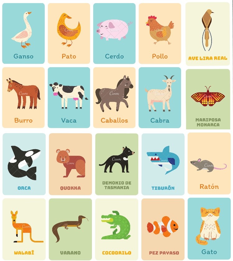 onlyforsyn's tweet photo. – TRENDS MOMENT 🐹

comenta todos los animales q puedas más el tag !! recuerda esperar unos 15 seg por cada comentario https://t.co/g1Z7ViGLr5