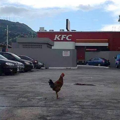 Le courage c’est ça ! 🤣🤣🤣