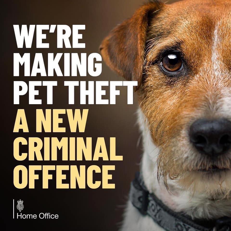 @cabinetofficeuk @SAMPAuk_ @BorisJohnson #Congratulations 🎉 So well deserved Great campaigns for #PetTheftReform #FernsLaw #MakeChipsCount