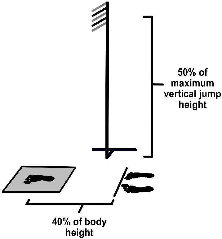 JApplBiomech's tweet photo. Do athletes with a reconstructed ACL respond differently to visual information during a dynamic hop task compared to controls? 

https://t.co/prDWV4hurM #biomechanics https://t.co/kKE1RiLhEF