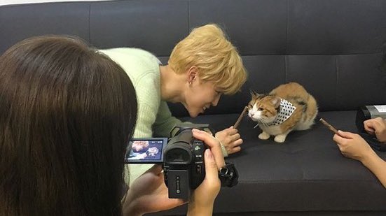 “get well soon uncle” tweeted by the owner of curry, the calico cat that appeared in jimin’s serendipity MV. my heart is melting 🥲🤍