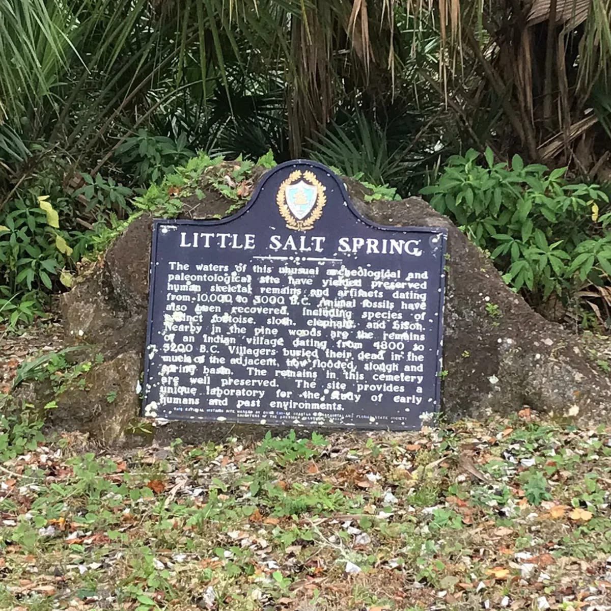 FPANSouthwest's tweet photo. Little Salt Spring - a fascinating time capsule of Florida's earliest history!

This is an underwater archeological and ecological preserve in North Port. Around 12,000–7,000 years ago, the sinkhole was an oasis that attracted seasonal hunters and gatherers. https://t.co/kHWt78AUF6