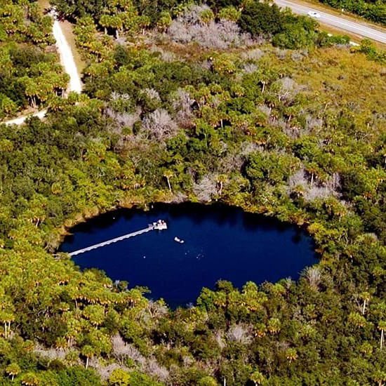 FPANSouthwest's tweet photo. Little Salt Spring - a fascinating time capsule of Florida's earliest history!

This is an underwater archeological and ecological preserve in North Port. Around 12,000–7,000 years ago, the sinkhole was an oasis that attracted seasonal hunters and gatherers. https://t.co/kHWt78AUF6