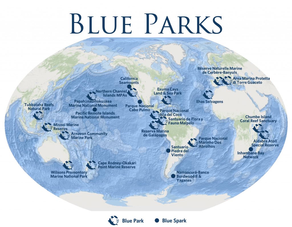 DrSianProctor's tweet photo. Did you know that only a very small percent of our oceans are protected? Less than 3% is fully protected. You can learn more at the Marine Conservation Institute: https://t.co/uSaur3Obvw
#UltraMarine2022 #oceans #BlueParks #StarshipEarth #EarthLight https://t.co/0opvoDP1kP