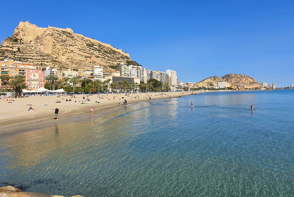 samuel_biener's tweet photo. Hoy estamos teniendo el día más primaveral ☀️ de las últimas semanas en Alicante, y el comentario más repetido en la playa es el de lo espectacular y transparente que está el mar. 

Pero había algo más, solo unos pocos curiosos nos hemos fijado en ello.

Abro hilo 👇 https://t.co/xvJyP1JtE8