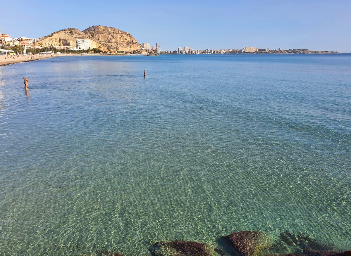 samuel_biener's tweet photo. Hoy estamos teniendo el día más primaveral ☀️ de las últimas semanas en Alicante, y el comentario más repetido en la playa es el de lo espectacular y transparente que está el mar. 

Pero había algo más, solo unos pocos curiosos nos hemos fijado en ello.

Abro hilo 👇 https://t.co/xvJyP1JtE8