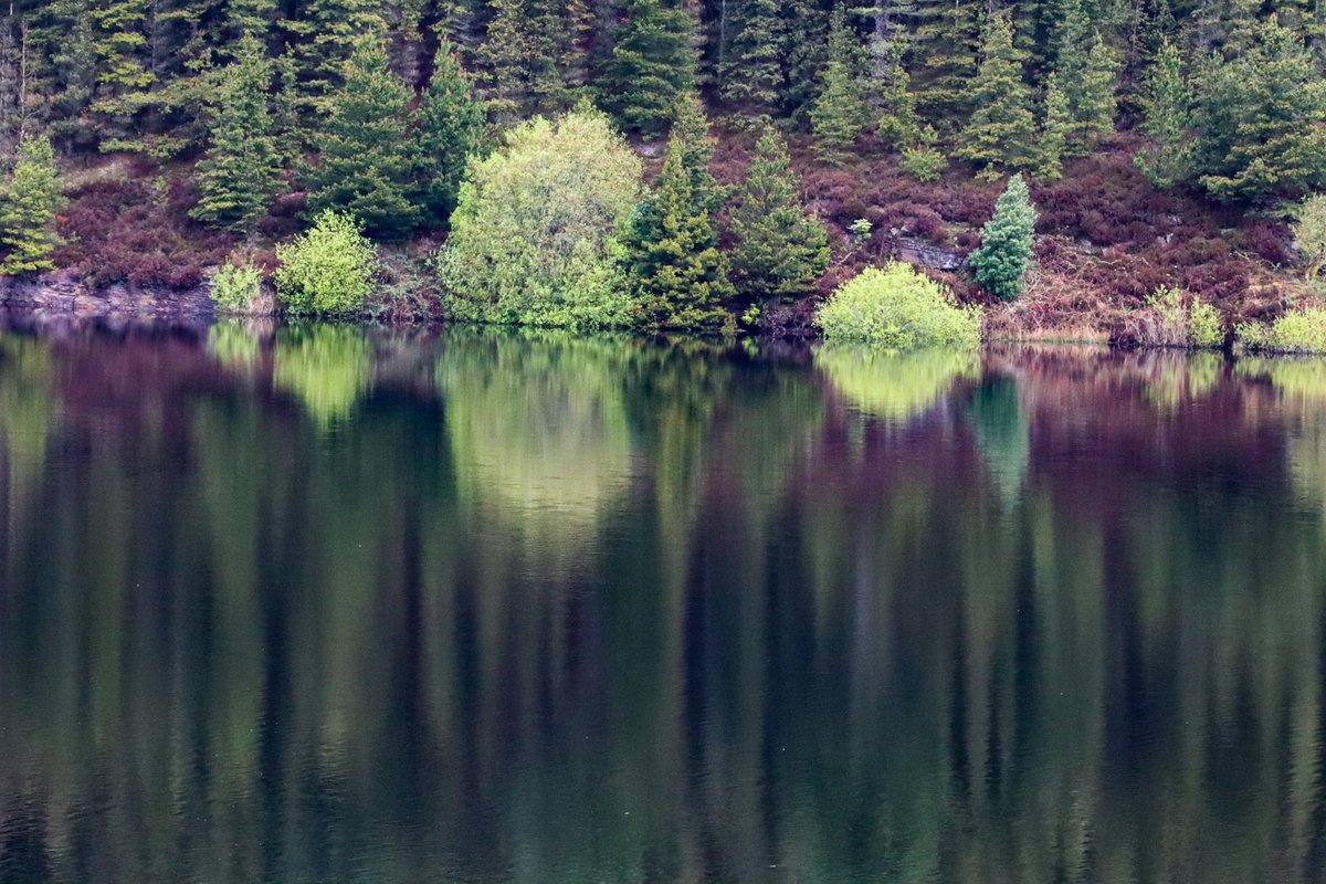 penistonephoto's tweet photo. This lovely serene image is by club member S Pickstock https://t.co/jIq8hYITCJ