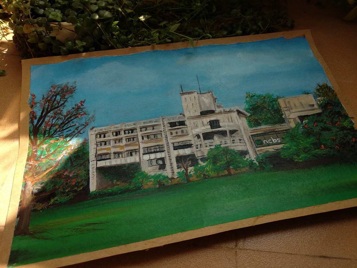 SWEETY MEEL tweet media