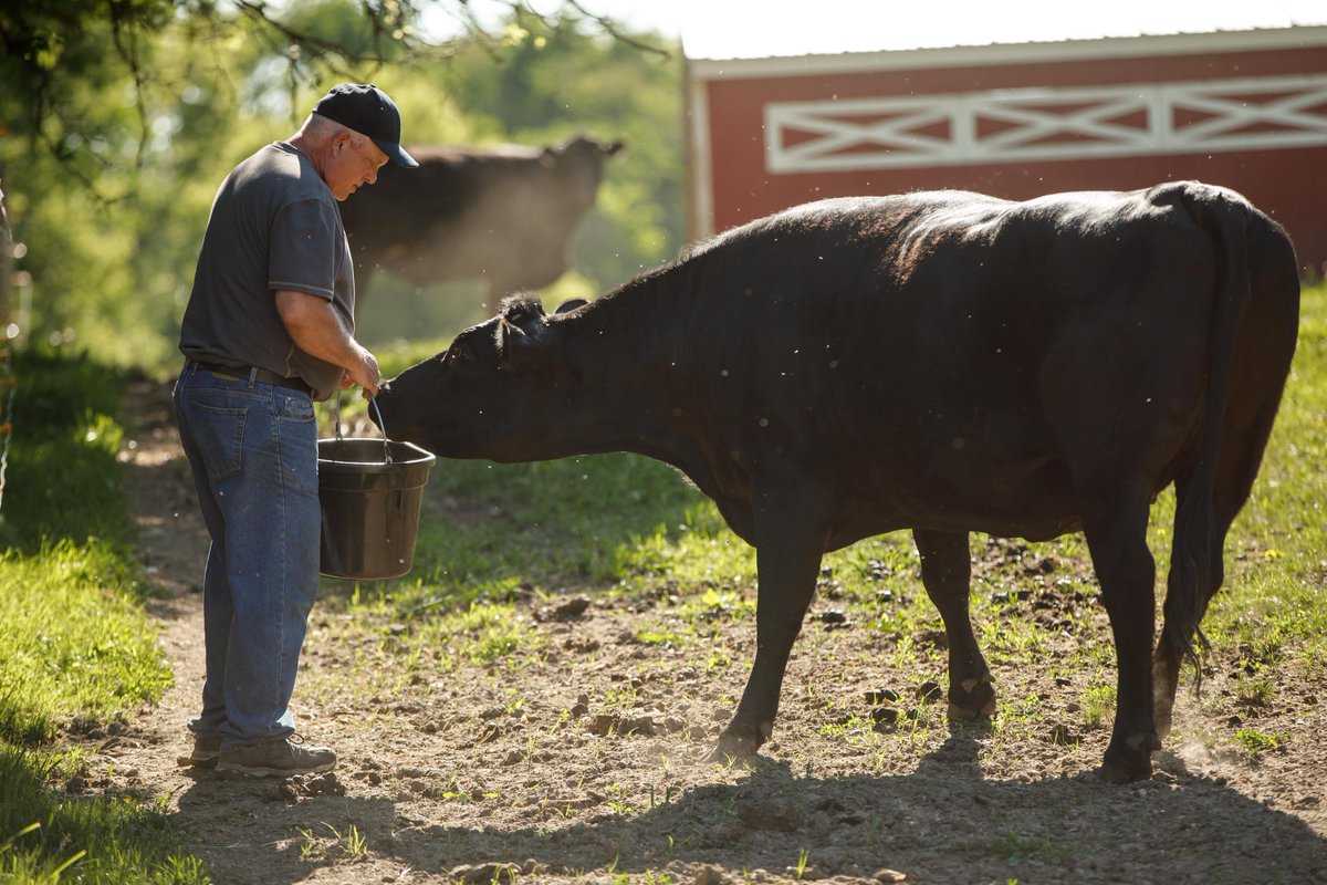 It's Meat Week and we are grateful to support farmers and ranchers in bringing delicious meat to you. Thank you farmers  &amp; ranchers!
