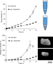 How agarose gels surrounding PLGA implants limit swelling and slow down drug release buff.ly/3HhPg9A