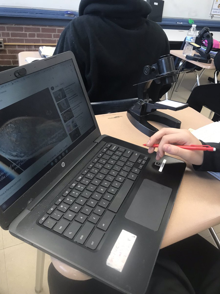 ghs_whitecar's tweet photo. Shifting the focus from teaching kids science to teaching them to WANT to learn science again. I could tell kids weren’t truly understanding what an ecosystem was, they really had no interest. So we dropped everything and decided to explore the ecosystem of a single drop of water https://t.co/Um6yiCgdnW