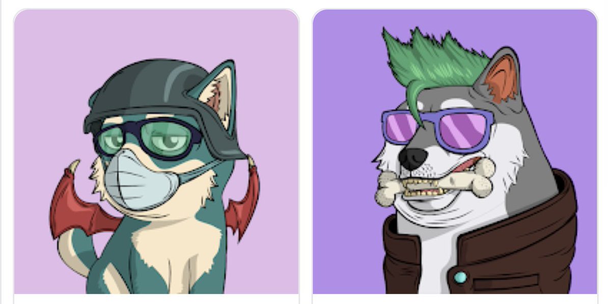 So freaking pumped to be a part of the <a href="/TheDogePoundNFT/">Doge Pound 🐶</a>! This is one of the best discord communities I’ve had the pleasure of joining.