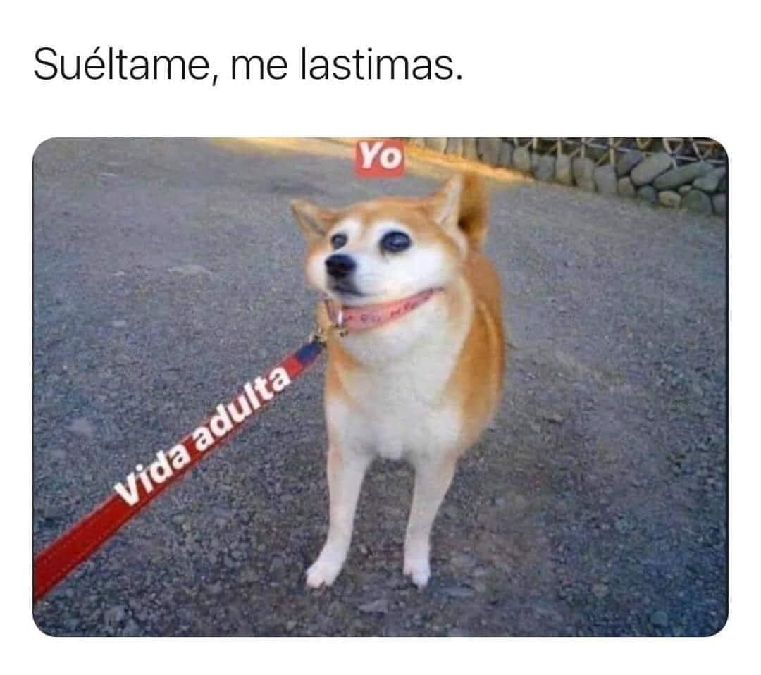 Ayuda 😫