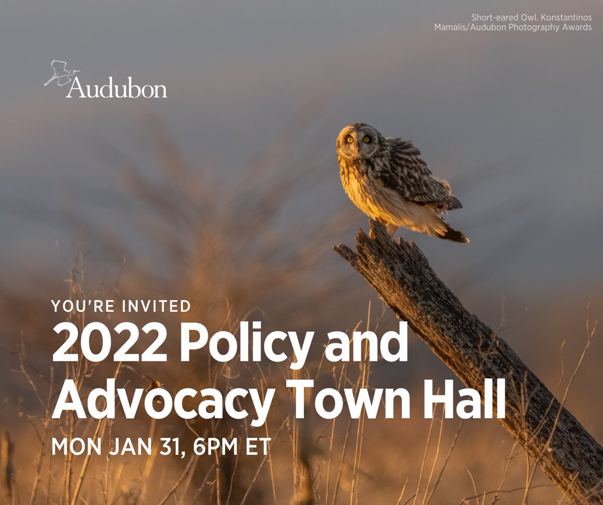 audubonsociety's tweet photo. After so many wins for birds in 2021, we’re hitting the ground running this year to do even more! Join us today at 6pm ET to hear the latest from our leadership on federal policy goals and what YOU can do to make them happen. RSVP to tune in: https://t.co/bbGEUFTRva https://t.co/QKRGku0bGz