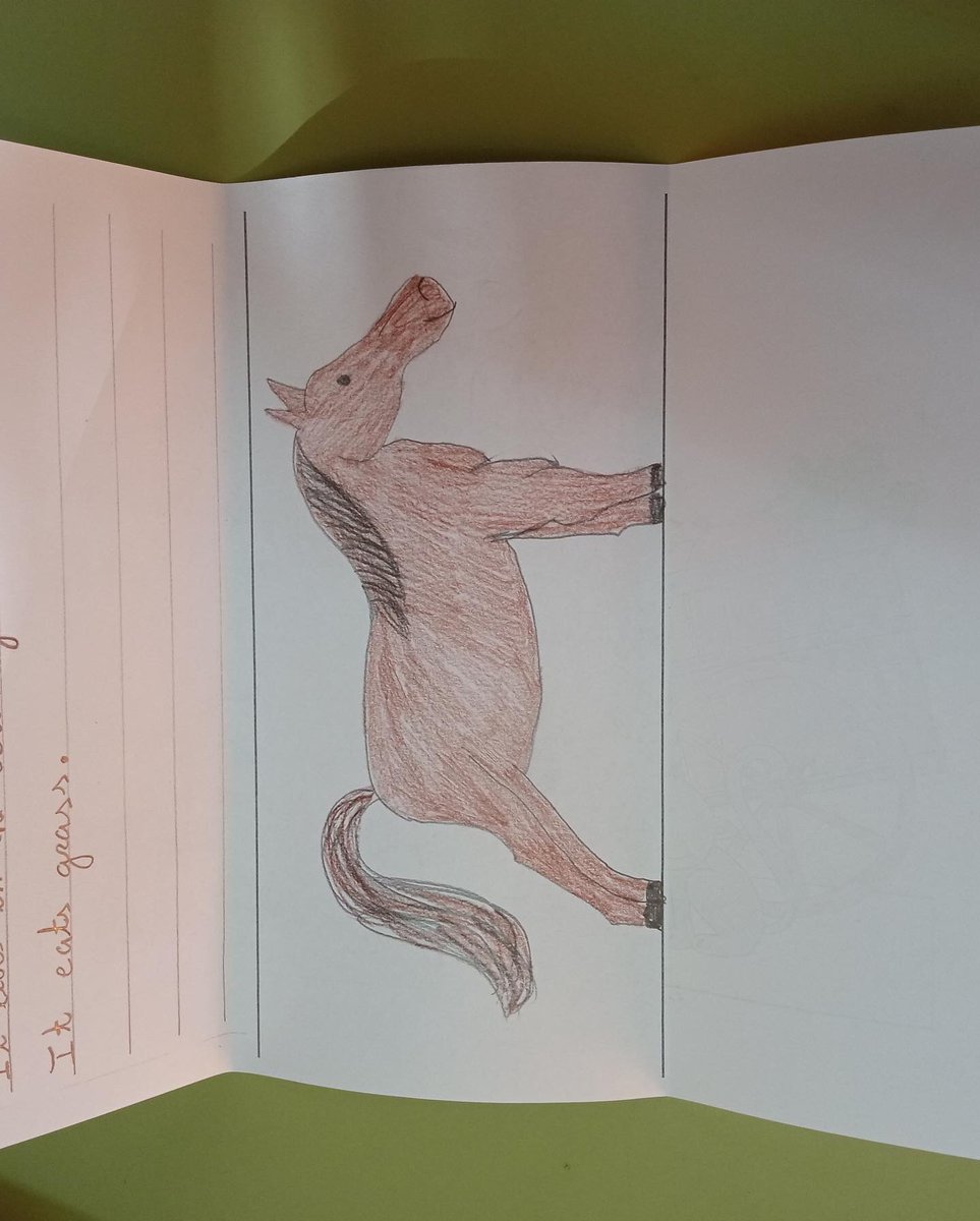 Els alumnes de 3er de primaria han aprofitat que estan donant el tema "All about animals" a l'assignatura de Natural Science per celebrar el dia de Sant Antoni amb una activitat molt divertida on havien de descriure un animal i dibuixar-lo per a després llegir a clas