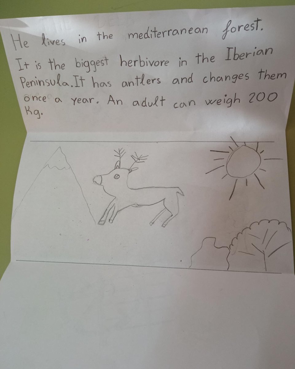 MInmaculadaJ's tweet photo. Els alumnes de 3er de primaria han aprofitat que estan donant el tema "All about animals" a l'assignatura de Natural Science per celebrar el dia de Sant Antoni amb una activitat molt divertida on havien de descriure un animal i dibuixar-lo per a després llegir a clas https://t.co/4GTrha1h9d