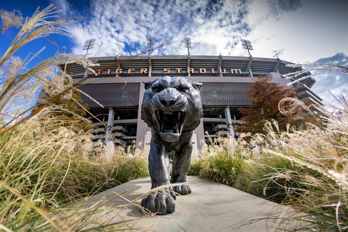 LSU tweet media