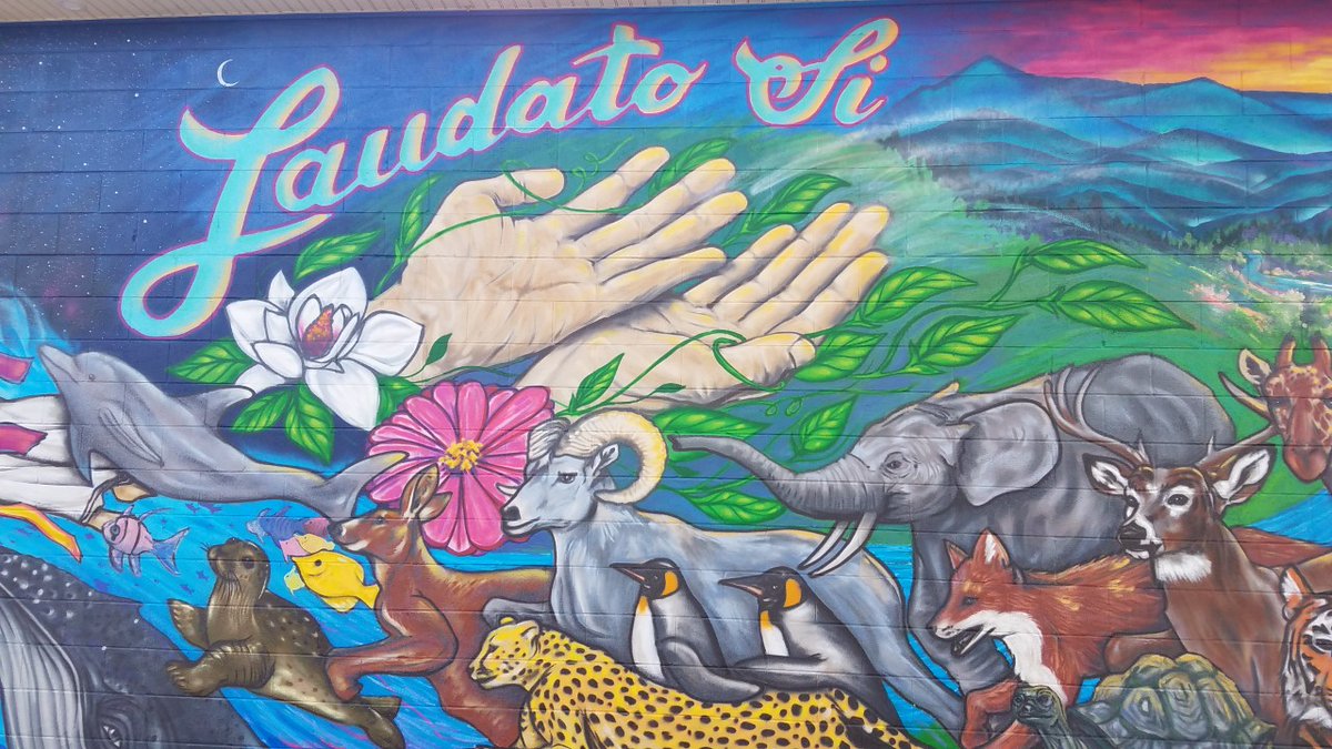 The start of the New Year offers many of us a chance to set personal goals for the coming months. When thinking about those goals, this is a great opportunity to incorporate one or some of the 7 Laudato Si' Action Platform goals into your own life. laudatosiactionplatform.org
