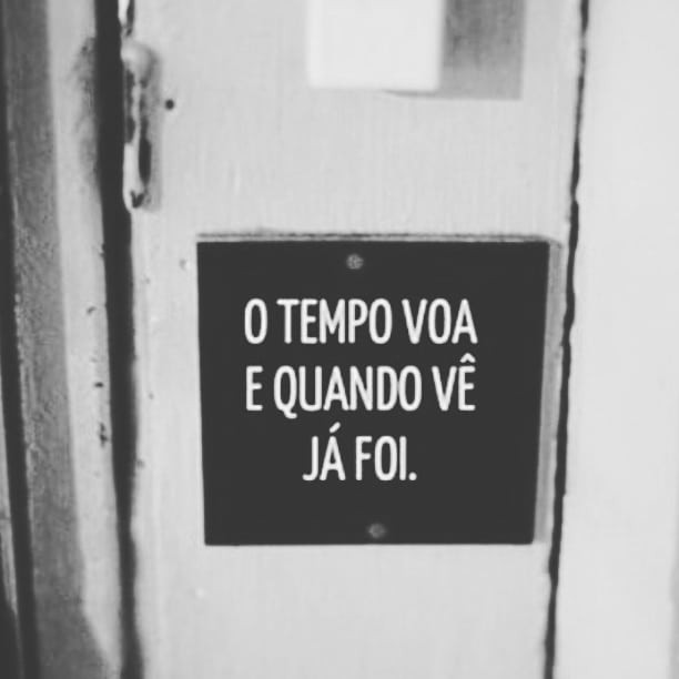 SigaArmandinho's tweet photo. https://t.co/Rey0DCiQck