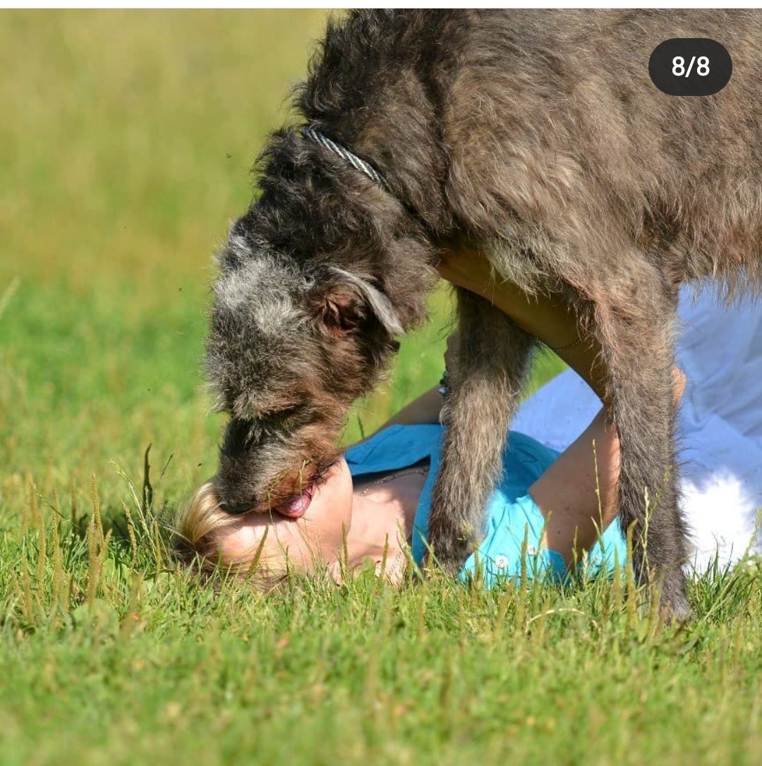 Скоро 4 года как ее нет со мной. Но каждый раз перебирая фотографии я вспоминаю свою прекрасную Жасмин с любовью и грустью. Она абсолютно точно была МОЯ. Не собака - душа.💜