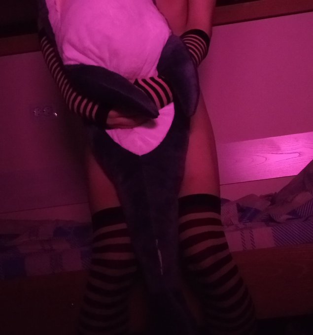 Sleepy with my sharky...

#Femboy #Legs https://t.co/NDrzMweXzU
