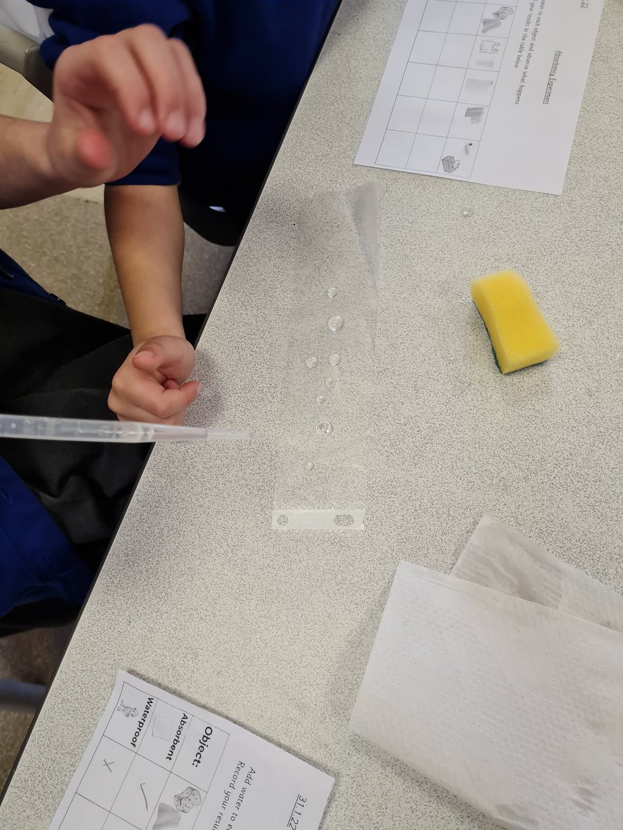 DeltaGreengates's tweet photo. Year 2 enjoyed investigating absorbency in materials in Science this afternoon. #TeamGGscience #year2GG https://t.co/DR0DMg1eM7