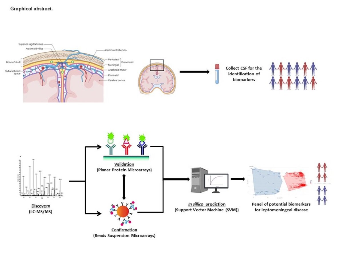 ArrayjetLtd's tweet image. Hot off the press! Researchers at @scilifelab and @CSIC collaborate and publish a new @Cancers_MDPI paper: bit.ly/3IOcPY4