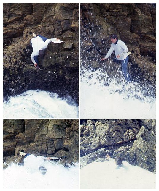 Bill Wright (#ChapmanUniversity) ‘baiting’ Lottia
gigantea for territorial responses on the wall of a
surge channel on S.E. Farallon Isl., CA in October
1978. Photos D.R. Lindberg. #MolluscMonday