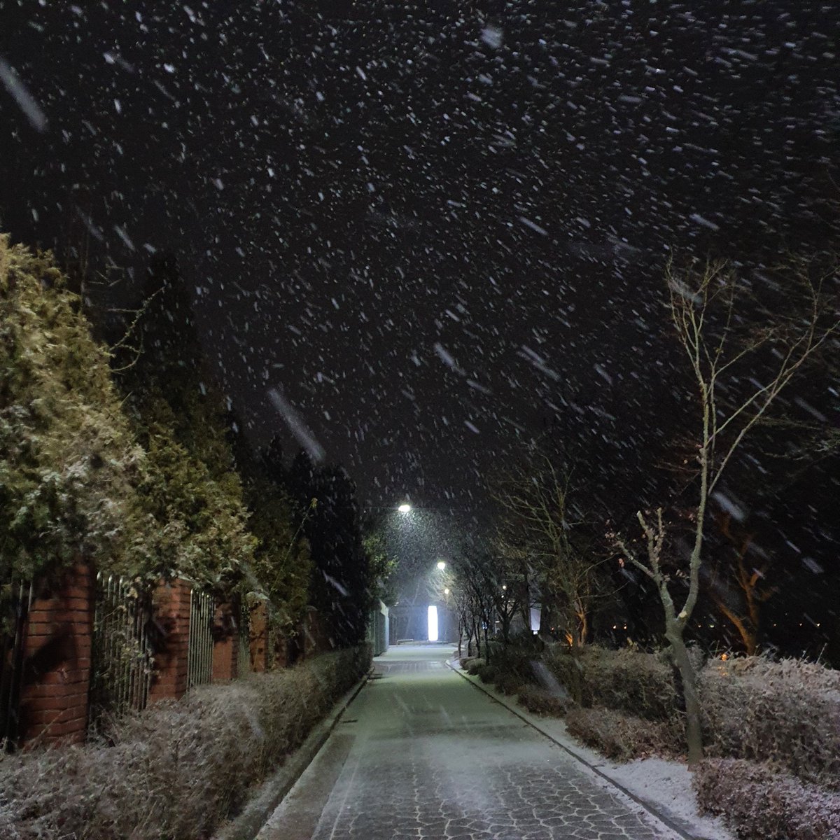 눈 엄청 이쁘게 많이온다.....

#섹트 #맘눌뎀 #건오 #수원