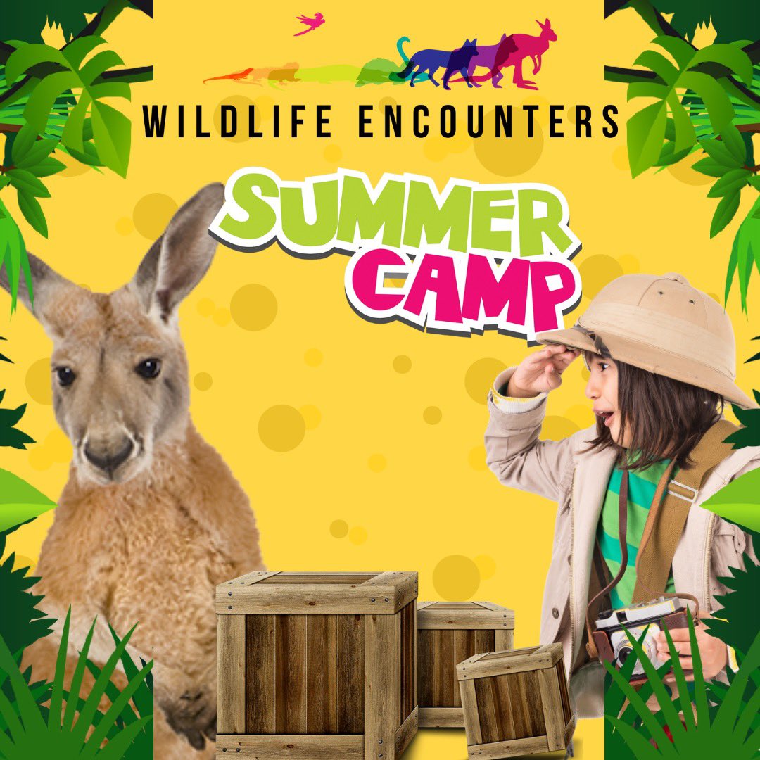 Camp Registration for Early Birds is now open!  If you did pre-registration/early bird sign up you will receive an email that has a link to register for camp.  Please follow that link which will allow you to register for your preferred week of camp. #omaha #summercamp #nebraska