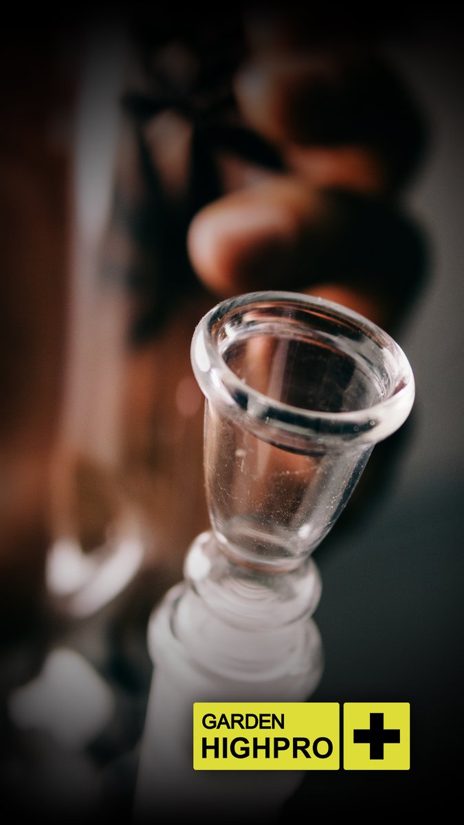 GARDENHIGHPRO's tweet photo. Nada más relajante que un bong para comenzar la semana y disfrutar de los ✨buenos✨ humos! 💨🔥

¿A ti también te hipnotiza el sonido de las burbujas? 🤘👂

#GARDENHIGHPRO #GARDENATTITUDE #BONG #MARYJANE #BORNTOBEAGROWER #cannabis #marihuana https://t.co/ozB5YpT7rU